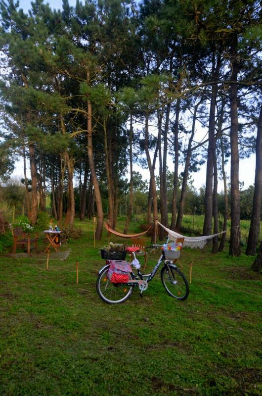 Happy Cat House - Holiday Rental São Martinho do Porto Kültér fotó