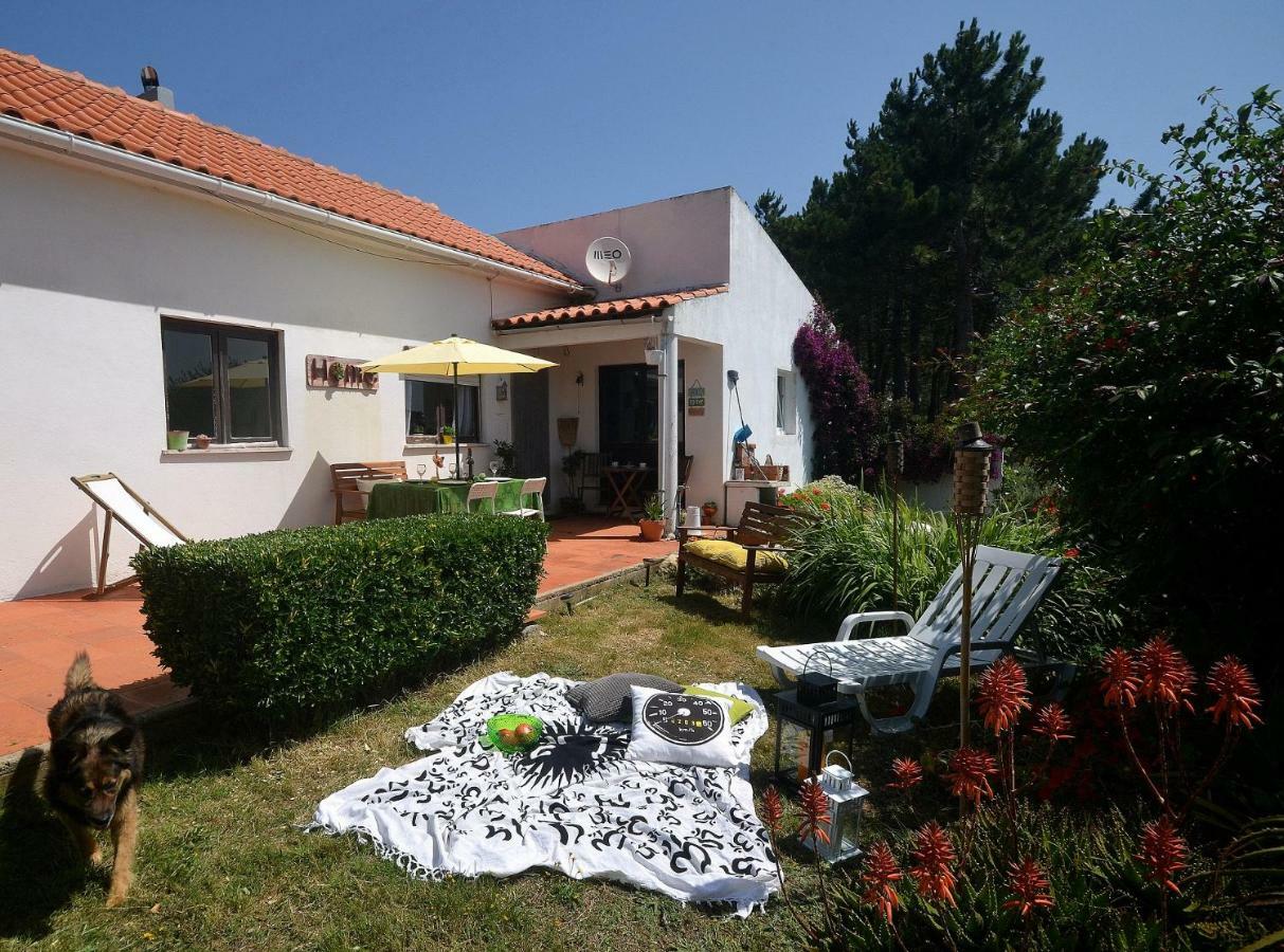 Happy Cat House - Holiday Rental São Martinho do Porto Kültér fotó
